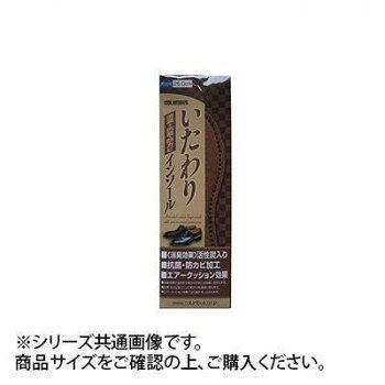 「北海道・沖縄・離島・一部地域へのお届けは別途送料を請求させていただきます。」「お客様都合でのキャンセルの場合、出荷前後にかかわらずキャンセル料などの手数料が発生いたしますので予めご了承ください。」「メーカーより取り寄せ商品のため、在庫状況によっては欠品・廃盤の可能性があります。あらかじめご了承ください。」消臭・抗菌・防カビ効果に優れた活性炭入りインソールです。■商品詳細・抗菌・防カビ加工により靴の中を清潔に保ちます。・エアークッションのソフトな履き心地が足の疲れをいたわります。※インソールは標準的な形に作られていますが、靴によっては横幅が合わない場合があります。サイズ個装サイズ：0.8×10×31cm重量個装重量：57g素材・材質アッパーシート(塩ビ)、吸湿シート(抗菌・防カビ加工)、エアークッション、活性炭、クレハロンシート(塩ビ)生産国日本fk094igrjs