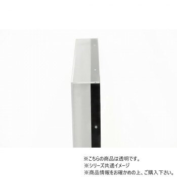 ELMONO(家具 ラグ カーペット)の大額 全面透明BOX額 9988 317x248(SM) ホワイト｜アングル3
