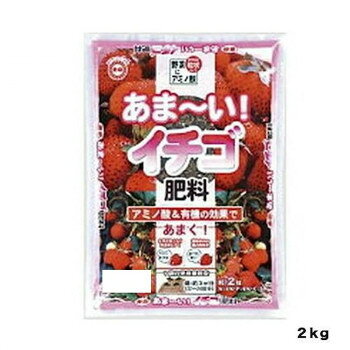 Indoor Culture Soil - 東商 あまーいイチゴ肥料 2kg