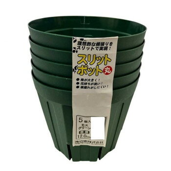 渡辺泰 スリットポット丸12cm 5個入 モスグリーン