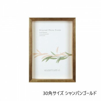 A.P.J. BOX�ե졼�� �����ȥܥå����ե졼��(�⤵:35mm) 30�ѥ�����(300��300mm) �����ѥ󥴡���� 0021768658