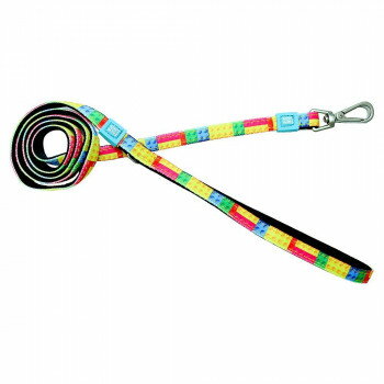 マックス＆モーリー XS リード カラフルブロック