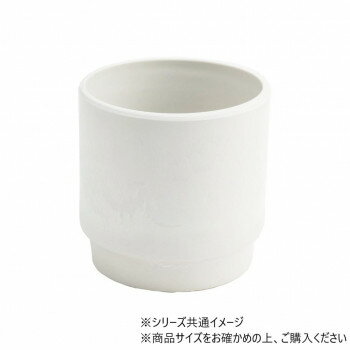 SKステップ 12xH12 ミルキー 3d00039ML