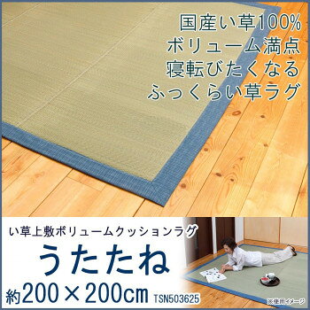 い草上敷ボリュームクッションラグ　うたたね　約200×200cm　TSN503625