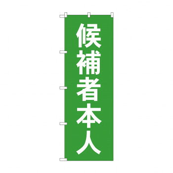Promotion - のぼり GNB-1919 候補者本人