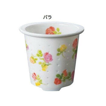 ティーフォーワン 誕生花 6月 バラ TFO-003