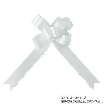 「北海道・沖縄・離島・一部地域へのお届けは別途送料を請求させていただきます。」「お客様都合でのキャンセルの場合、出荷前後にかかわらずキャンセル料などの手数料が発生いたしますので予めご了承ください。」「メーカーより取り寄せ商品のため、在庫状況によっては欠品・廃盤の可能性があります。あらかじめご了承ください。」シンプルで定番のバスケットボウです。サイズ幅:22mm個装サイズ：30×20×10cm重量個装重量：40g素材・材質ポリプロピレン生産国日本fk094igrjs