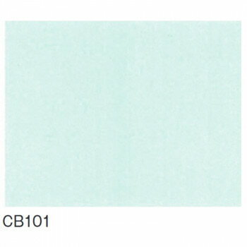 富双合成 防炎シャワーカーテン 約105cm幅×180cm高 CB101