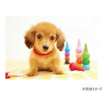 ジグソーパズル　ペット　おすましワンショット!　300-355