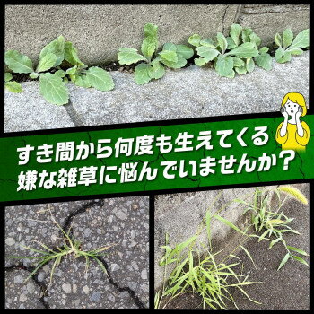 �����֤դ����ǻ���ͽ�ɥҥӥ���������