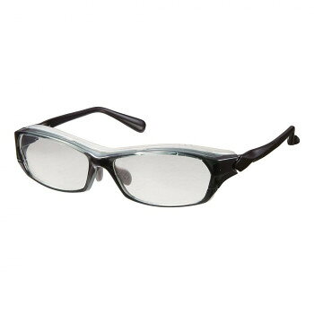 花粉グラス スカット SFG-001 CL/DSM 20151