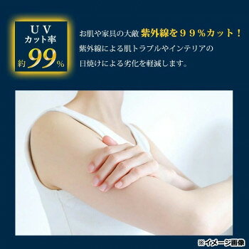 断熱カーテンライナープレミアム遮熱 100cm×225cm ダンネツプレミアム 225