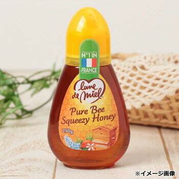 ルン ド ミエル スクイーズハニー 250g 12個セット 070047 elmon0-10655949 ELMONO(家具 ラグ カーペット) サンプル画像3