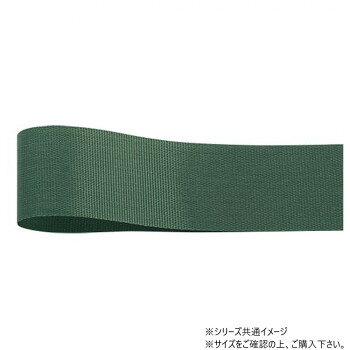 「北海道・沖縄・離島・一部地域へのお届けは別途送料を請求させていただきます。」「お客様都合でのキャンセルの場合、出荷前後にかかわらずキャンセル料などの手数料が発生いたしますので予めご了承ください。」「メーカーより取り寄せ商品のため、在庫状況によっては欠品・廃盤の可能性があります。あらかじめご了承ください。」タフタ織りの固めの風合いが特徴です。いったん結ぶと緩みにくく、多くのお客様にお選びいただいているラッピングリボンです。裏表がないため、蝶結びもしやすくなっております。サイズ幅:12mm、長さ:100m個装サイズ：5×15×15cm重量個装重量：80g素材・材質アセテート生産国日本fk094igrjs