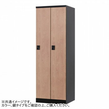 ˭Ԣ���� �������⥿����2���� W600(�����򴹾�) RLK-TTN260-BNT