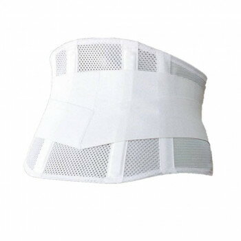 日本シグマックス マックスベルト CHコンフォート ホワイト 3L 340405 369021