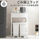 キッチンラック ロータイプ ゴミ箱 スペース 一人暮らし スリム レンジ台 幅60 キッチンカウンター テーブル ダストボックス 作業台 ゴミ箱上ラック 引き出...