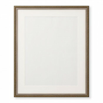 水彩額 水彩額 3669 F6 グレー 32H366D0501