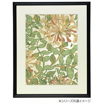 デッサン額 木製フレーム 桜カマボコ ブラック 四ツ切424×348 アクリル [3]