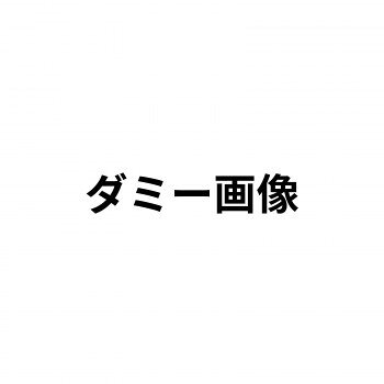 造形補修剤　プラリペア(R)　パウダー(粉)　100g P-100　赤