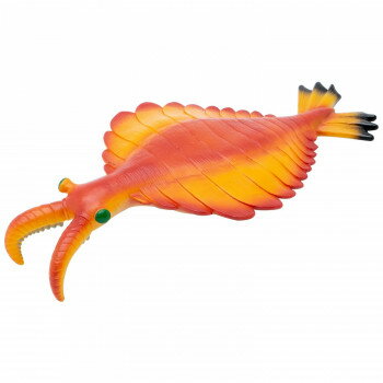 FP-303 アノマロカリス ビニールモデ