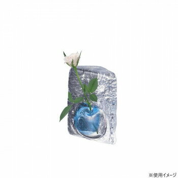 「北海道・沖縄・離島・一部地域へのお届けは別途送料を請求させていただきます。」「お客様都合でのキャンセルの場合、出荷前後にかかわらずキャンセル料などの手数料が発生いたしますので予めご了承ください。」「メーカーより取り寄せ商品のため、在庫状況...