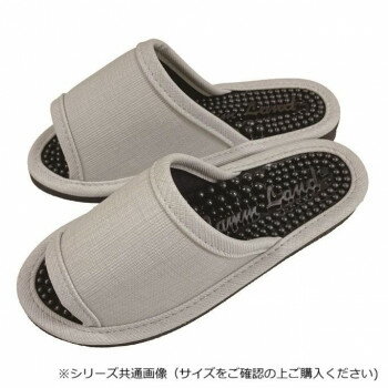 アセット スリッパ レギュラーヘルシーG グレー JN23000-GY