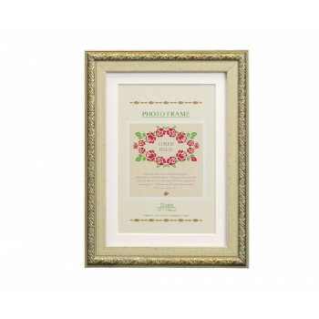 Nフレーム 2009 2L/KG判 ゴールド 105-571