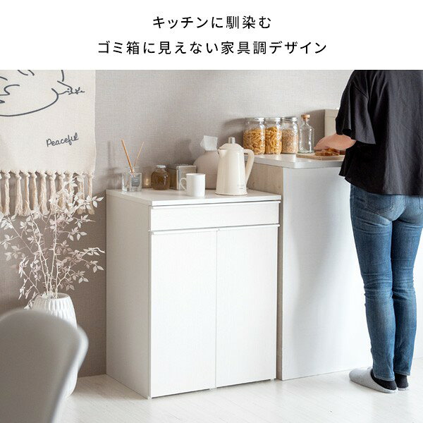 ゴミ箱 レンジ台 45l ダストボックス 大容量 分別 引き出し キャスター キッチン 45リットル 生ごみ 木目 北欧 スチール ごみ箱 密閉 防臭 前扉 移動式 おしゃれ 中身 見えない 袋 リビング 臭わない ペット いたずら 防止 家具 [3]