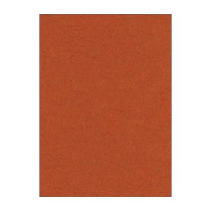 （まとめ） 文運堂 ニューカラーR 四ツ切 横392×縦542mm 4NCR-236 ちゃいろ 100枚入 【×2セット】