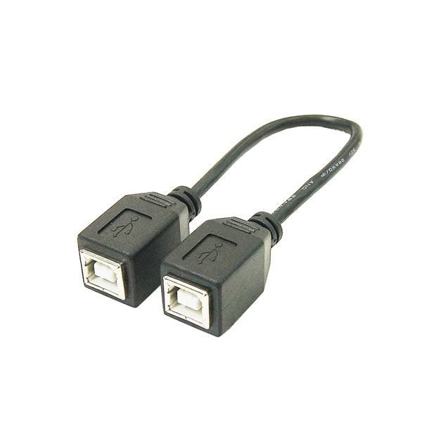 (まとめ)変換名人 USBケーブル20cm B(メス) to B(メス) USBBB-BB20【×10セット】