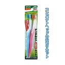 デンタルケア山切りカット(かため・2本入)日本製 【12個セット】 41-082(4)