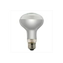 (まとめ)YAZAWA 長寿命レフ電球 RF100110V90WL【×10セット】(3)