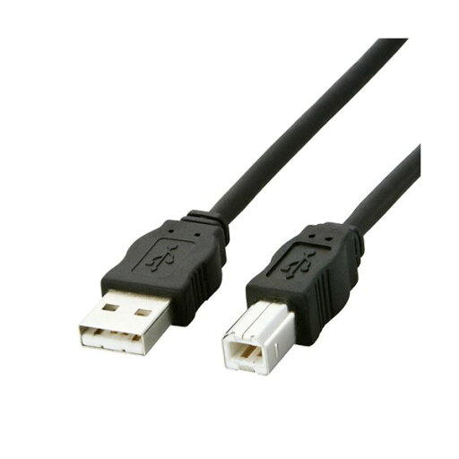 (まとめ) エレコム 環境対応 USBケーブル USB2-ECO50 1本入 【×2セット】 (まとめ) エレコム 環境対応 USBケーブル USB2-ECO50 1本入 【×2セット】