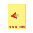 (まとめ) 長門屋商店 Color Paper A4 特厚口 クリーム ナ-3403V 1冊(100枚) 【×10セット】