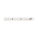 (まとめ)ライオン事務器 ステンレス直線定規15cm S-15 1セット(10本)【×2セット】
