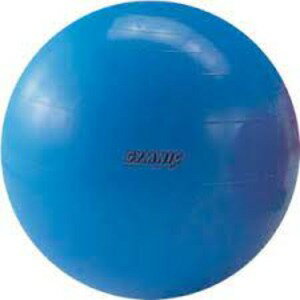 ギムニクカラーボール 65cm ブルー
