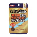 ■商品内容【ご注意事項】・この商品は下記内容×20セットでお届けします。残りのエサでは不足しがちな栄養を、しっかり補うどじょう専用フード。納豆菌配合。底にいるドジョウに合わせた沈下性、ゆっくりほぐれるタブレットタイプです。■商品スペック【原材料（成分）】小麦粉、フィッシュミール、海藻、小麦胚芽、オキアミミール、シュリンプミール、酵母、βグルカン、納豆菌、各種ビタミン、ミネラル類【保証成分】粗蛋白質42％以上、粗脂肪5％以上、粗繊維3％以下、粗灰分12％以下、水分10％以下【給与方法】1回に与える量は1時間以内に食べきれる量にして下さい。【賞味／使用期限(未開封)】30ヶ月【 原産国または製造地】台湾【諸注意】エサの食べ残しは水を汚す原因になりますので、食べ残しが出ないように注意して下さい。 幼児、子供が誤って食べないように手の届かない所に保管して下さい。【キャンセル・返品について】商品注文後のキャンセル、返品はお断りさせて頂いております。予めご了承下さい。【特記事項】商品パッケージは予告なく変更される場合があり、登録画像と異なることがございます。【お支払い方法について】本商品は、代引きでのお支払い不可となります。予めご了承くださいますようお願いします。■送料・配送についての注意事項●本商品の出荷目安は【1 - 5営業日　※土日・祝除く】となります。●お取り寄せ商品のため、稀にご注文入れ違い等により欠品・遅延となる場合がございます。●本商品は仕入元より配送となるため、沖縄・離島への配送はできません。