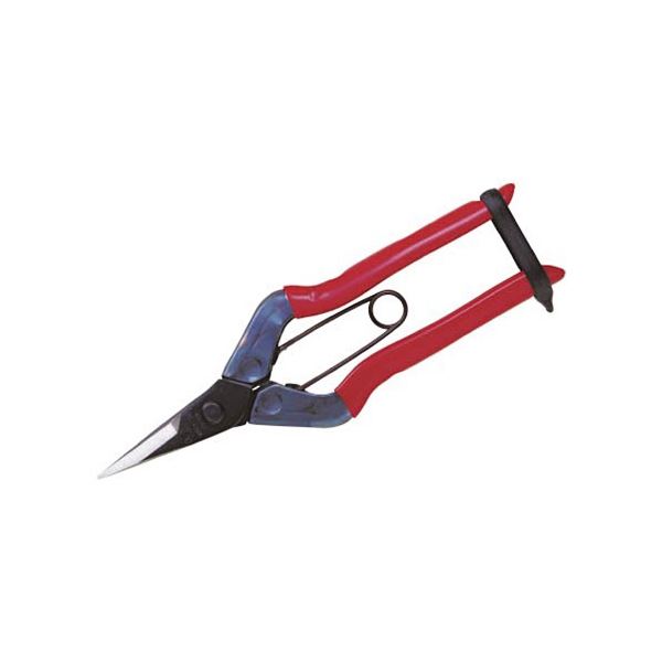 (まとめ) 近正(チカマサ) 摘果鋏 T-500 1個 【×5セット】