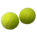 （まとめ）硬式テニスボール 2P【×2個セット】