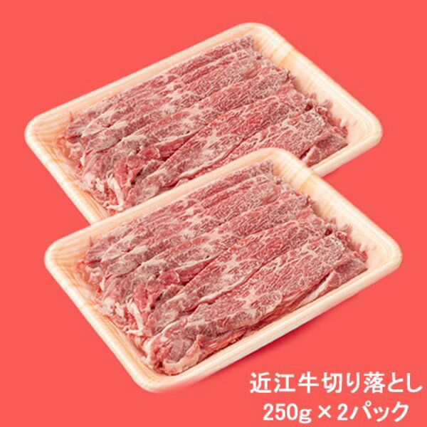 【500g】日本三大ブランド和牛「近江牛」切り落とし500g(250g×2)【代引不可】