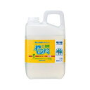 (まとめ)サラヤ ヤシノミ洗剤 業務用 2.7L 1本【×10セット】(3)