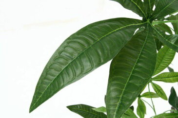 人工観葉植物 大型 観葉植物 フェイク 室内 おしゃれ 風水 造花 フェイクグリーン リアル インテリアグリーン 植物 サボテン