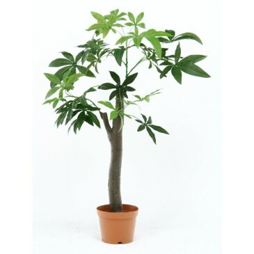 人工観葉植物 大型 観葉植物 フェイク 室内 おしゃれ 風水 造花 フェイクグリーン リアル インテリアグリーン 植物 サボテン