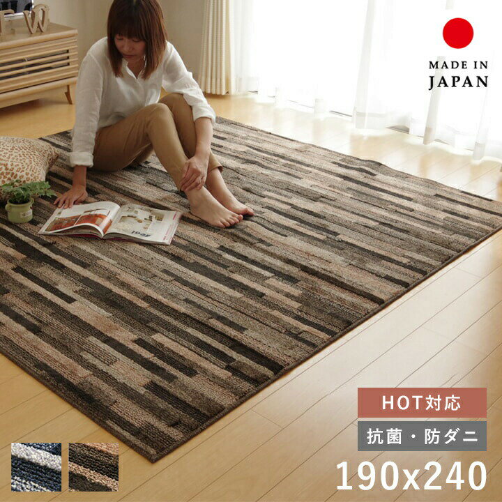 ラグ 冬用 カーペット 3畳 冬 絨毯 ラグマット おしゃれ 日本製 防ダニ 抗菌 防臭 洗濯 防音 長方形 19..
