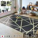 い草ラグ ラグ いぐさ 3畳 国産 ウレタン 厚手 裏貼り い草カーペット 夏用 い草 カーペット 日本製 クッション おしゃれ 絨毯 抗菌 防臭 ござ 夏 長...