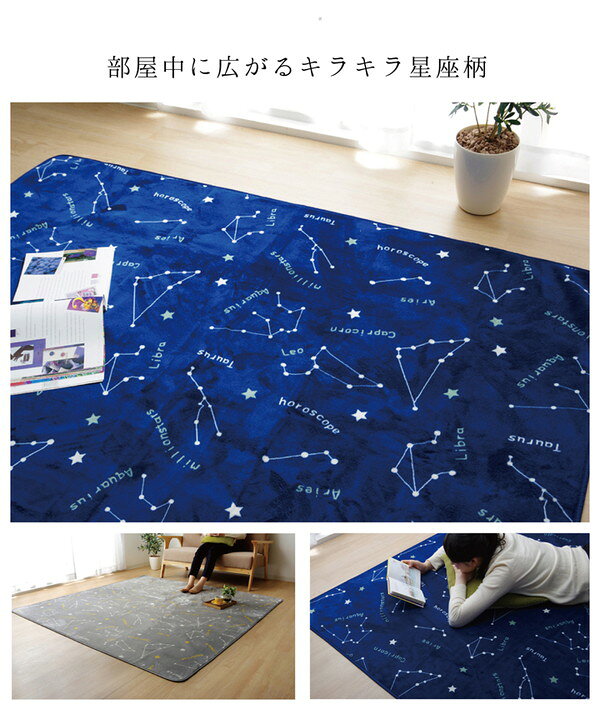 フランネル ラグマット/絨毯 【ネイビー 約200cm×250cm】 抗菌 防臭 洗える ホットカーペット対応 RUG【代引不可】 [3]