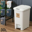 ゴミ箱 ごみ箱 30リットル ふた付き ペダル 大容量 おしゃれ 30l キッチン ダストボックス ごみばこ プッシュ式 大型 臭わない 蓋付き スリム 省スペ...