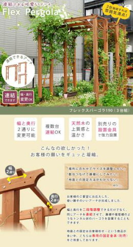 目隠し 自立 門 園芸棚 格安 バラ おしゃれ 花壇 かわいい 葡萄棚 簡単設置 藤棚 パーゴラアーチ ローズ アーチ ガーデンアーチ ふじ棚 ぶどう棚 葡萄棚 園芸棚 園芸 ガーデン 屋外 フラワー 庭 誘引 ガーデニング おしゃれ Diy 3台 セット Elmono 家具 ラグ 目隠し 自立 門 園芸棚 格安 バラ おしゃれ 花壇 かわいい 葡萄棚 簡単設置 藤棚 パーゴラアーチ ローズ アーチ ガーデンアーチ ふじ棚 ぶどう棚 葡萄棚 園芸棚 園芸 ガーデン 屋外 フラワー 庭 誘引 ガーデニング おしゃれ Diy 3台 セット Elmono 家具 ラグ