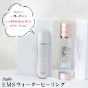 【クーポン利用で5980円】【ヒト幹細胞化粧水付き】ウォーターピーリング 美顔器 ヒト幹細胞 セット 化粧水 化粧品 シワ たるみ 美白 ems 超音波 毛穴ケア 汚れ【mp1019-set】【即納:1-5営業日】【送料無料】宅込
